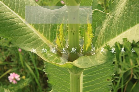 微粒贷逾期10天要紧么 微粒贷逾期10天要紧么