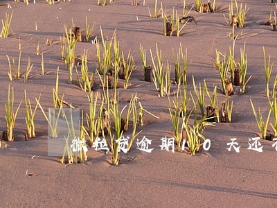 微粒贷逾期10天还不上 微粒贷逾期10天还不上