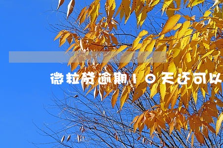 微粒贷逾期10天还可以 微粒贷逾期10天还可以