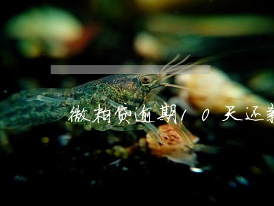 微粒贷逾期10天还款
