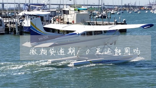 微粒贷逾期10天还能用吗 微粒贷逾期10天还能用吗