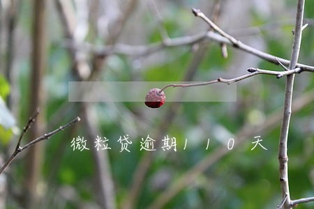 微粒贷逾期110天 微粒贷逾期110天