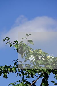 微粒贷逾期11万怎么办 微粒贷逾期11万怎么办
