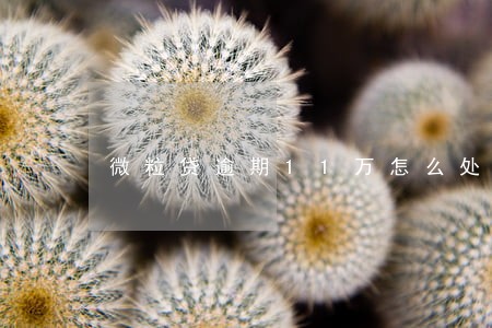微粒贷逾期11万怎么处理 微粒贷逾期11万怎么处理