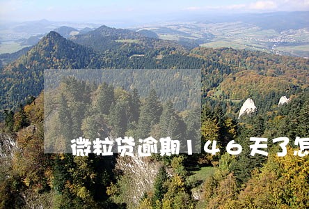 微粒贷逾期146天了怎么办