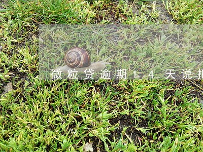 微粒贷逾期14天说把我告了 微粒贷逾期14天说把我告了