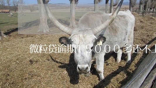 微粒贷逾期15000多还不上