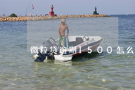 微粒贷逾期1500怎么办 微粒贷逾期1500怎么办