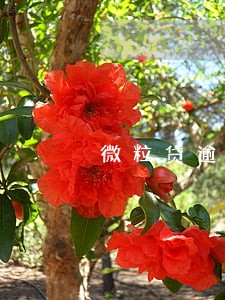 微粒贷逾期15万严重吗 微粒贷逾期15万严重吗