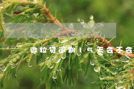 微粒贷逾期15天会不会上门 微粒贷逾期15天会不会上门