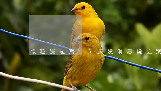 微粒贷逾期16天发消息说立案 微粒贷逾期16天发消息说立案