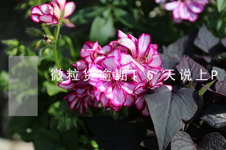 微粒贷逾期16天说上P2P 微粒贷逾期16天说上P2P