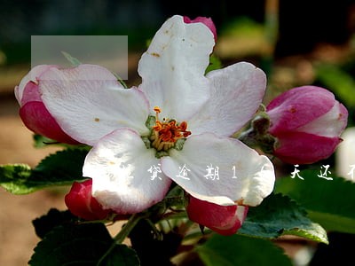 微粒贷逾期16天还不了 微粒贷逾期16天还不了