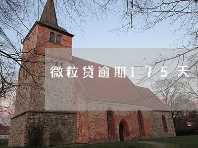 微粒贷逾期175天 微粒贷逾期175天
