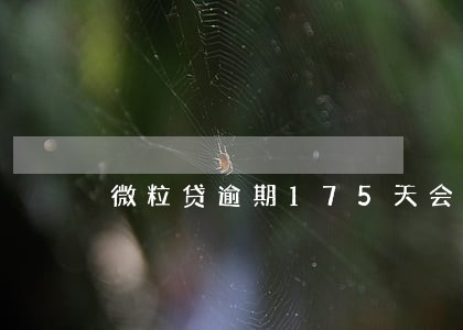 微粒贷逾期175天会上门吗 微粒贷逾期175天会上门吗