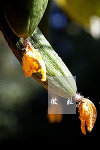 微粒贷逾期175天怎么办 微粒贷逾期175天怎么办