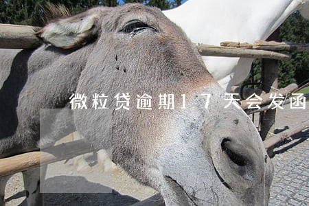 微粒贷逾期17天会发函件吗 微粒贷逾期17天会发函件吗