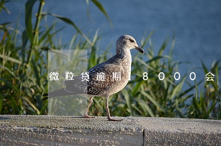 微粒贷逾期18000会不会上门 微粒贷逾期18000会不会上门