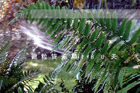 微粒贷逾期180天 微粒贷逾期180天