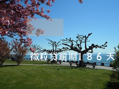 微粒贷逾期186天