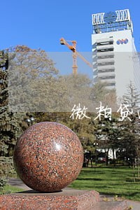 微粒贷逾期196天 微粒贷逾期196天