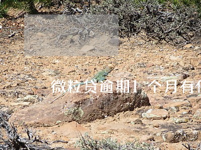 微粒贷逾期1个月有什么后果 微粒贷逾期1个月有什么后果