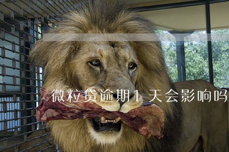 微粒贷逾期1天会影响吗 微粒贷逾期1天会影响吗