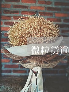 微粒贷逾期1天会怎样 微粒贷逾期1天会怎样