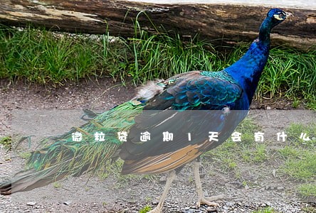 微粒贷逾期1天会有什么后果 微粒贷逾期1天会有什么后果