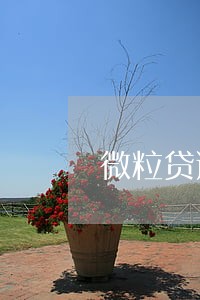 微粒贷逾期1天关闭额度 微粒贷逾期1天关闭额度