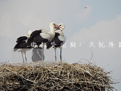 微粒贷逾期1天就降额度 微粒贷逾期1天就降额度