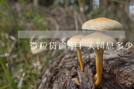 微粒贷逾期1天罚息多少 微粒贷逾期1天罚息多少