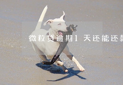 微粒贷逾期1天还能还款吗 微粒贷逾期1天还能还款吗