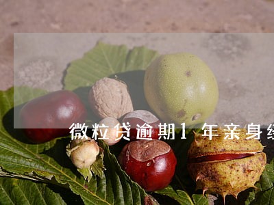 微粒贷逾期1年亲身经历