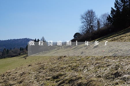 微粒贷逾期1年多了 微粒贷逾期1年多了