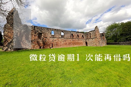 微粒贷逾期1次能再借吗