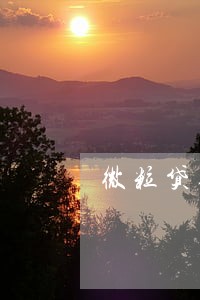 微粒贷逾期20多天会取消分期 微粒贷逾期20多天会取消分期