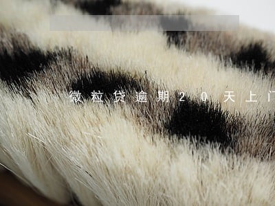 微粒贷逾期20天上门怎么办 微粒贷逾期20天上门怎么办
