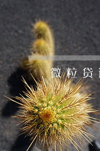 微粒贷逾期20天左右 微粒贷逾期20天左右