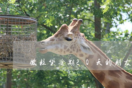 微粒贷逾期20天的朋友们有吗 微粒贷逾期20天的朋友们有吗