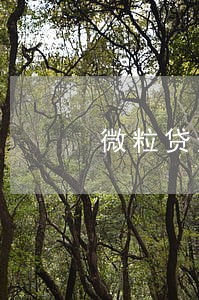 微粒贷逾期20天说要上门 微粒贷逾期20天说要上门