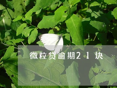微粒贷逾期21块