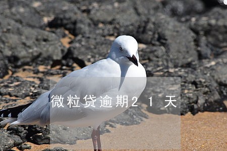 微粒贷逾期21天 微粒贷逾期21天