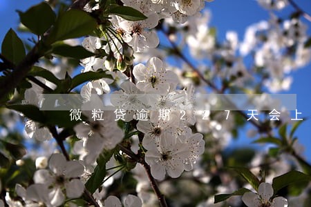 微粒贷逾期227天会上门吗 微粒贷逾期227天会上门吗