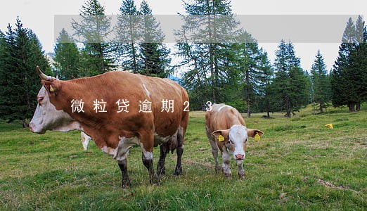 微粒贷逾期23 微粒贷逾期23