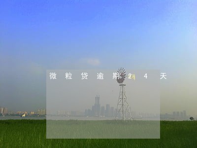 微粒贷逾期24天 微粒贷逾期24天