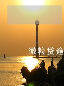 微粒贷逾期250000
