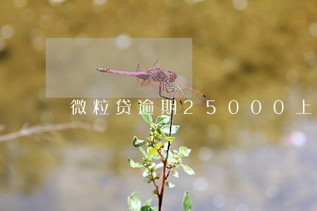 微粒贷逾期25000上门 微粒贷逾期25000上门