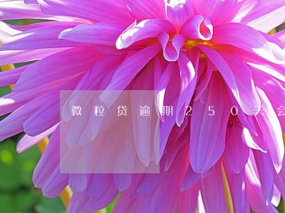 微粒贷逾期250天会怎样 微粒贷逾期250天会怎样