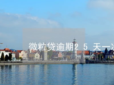 微粒贷逾期25天一次还款 微粒贷逾期25天一次还款